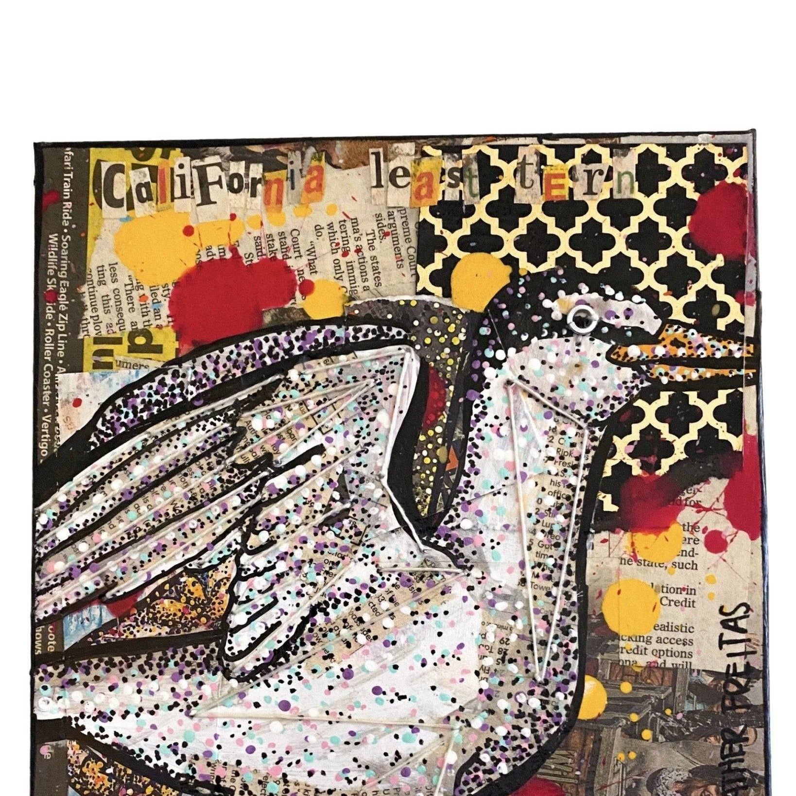 California Least Tern - Heather Freitas - fine art home deccor