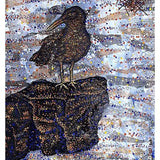 Canary Island Oystercatcher - Heather Freitas - fine art home deccor