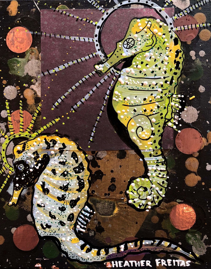 Cape Seahorse Heather Freitas 