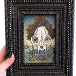 Cat Skull Study - Heather Freitas - fine art home deccor