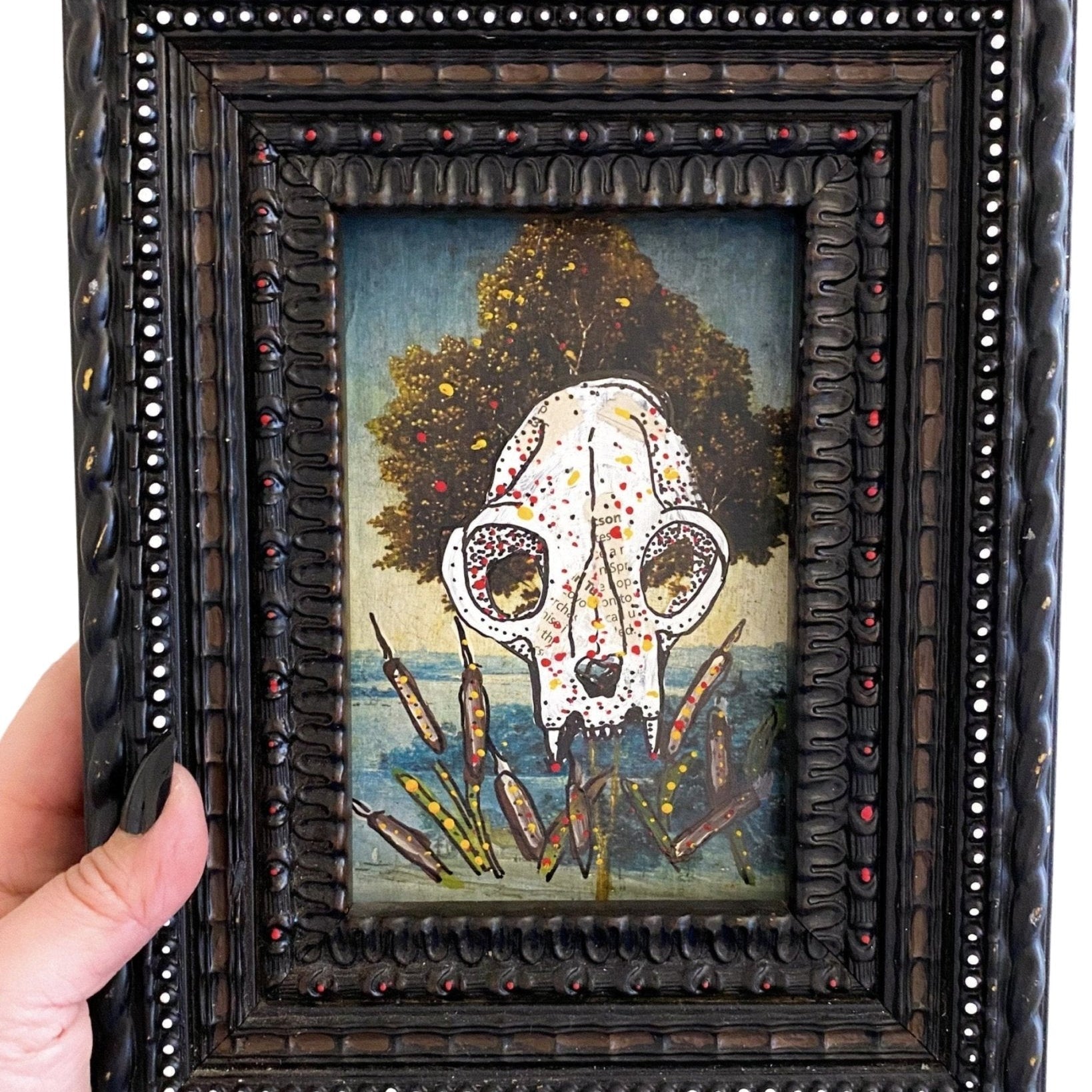 Cat Skull Study - Heather Freitas - fine art home deccor