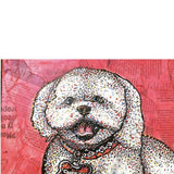 Cheech - Heather Freitas - fine art home deccor