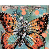 Chrysoritis Cotrelli (CR) Cotrell's Daisy Copper - Heather Freitas - fine art home deccor