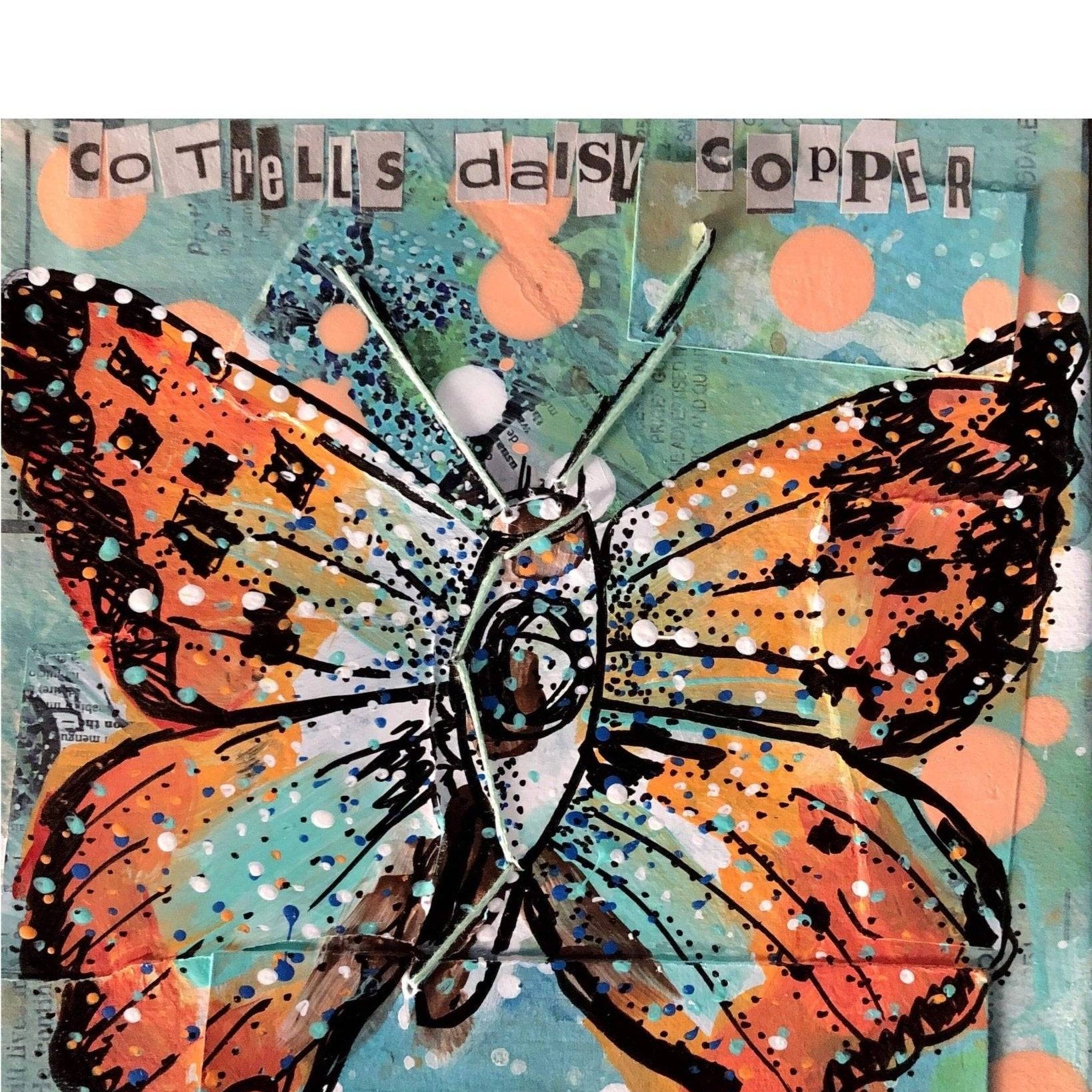 Chrysoritis Cotrelli (CR) Cotrell's Daisy Copper - Heather Freitas - fine art home deccor