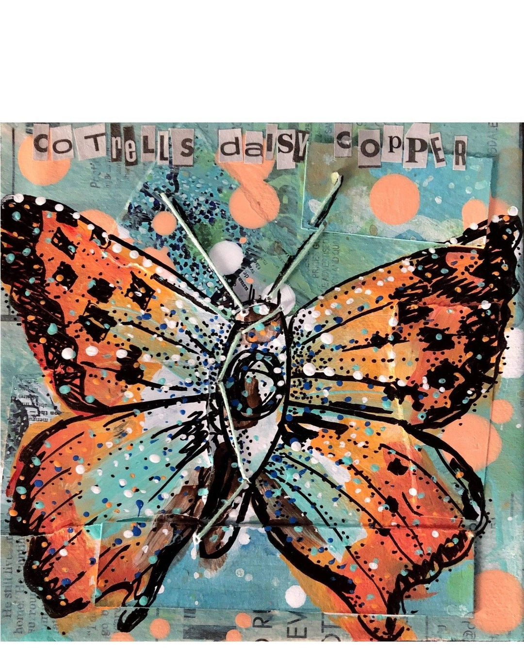 Chrysoritis Cotrelli (CR) Cotrell's Daisy Copper - Heather Freitas - fine art home deccor