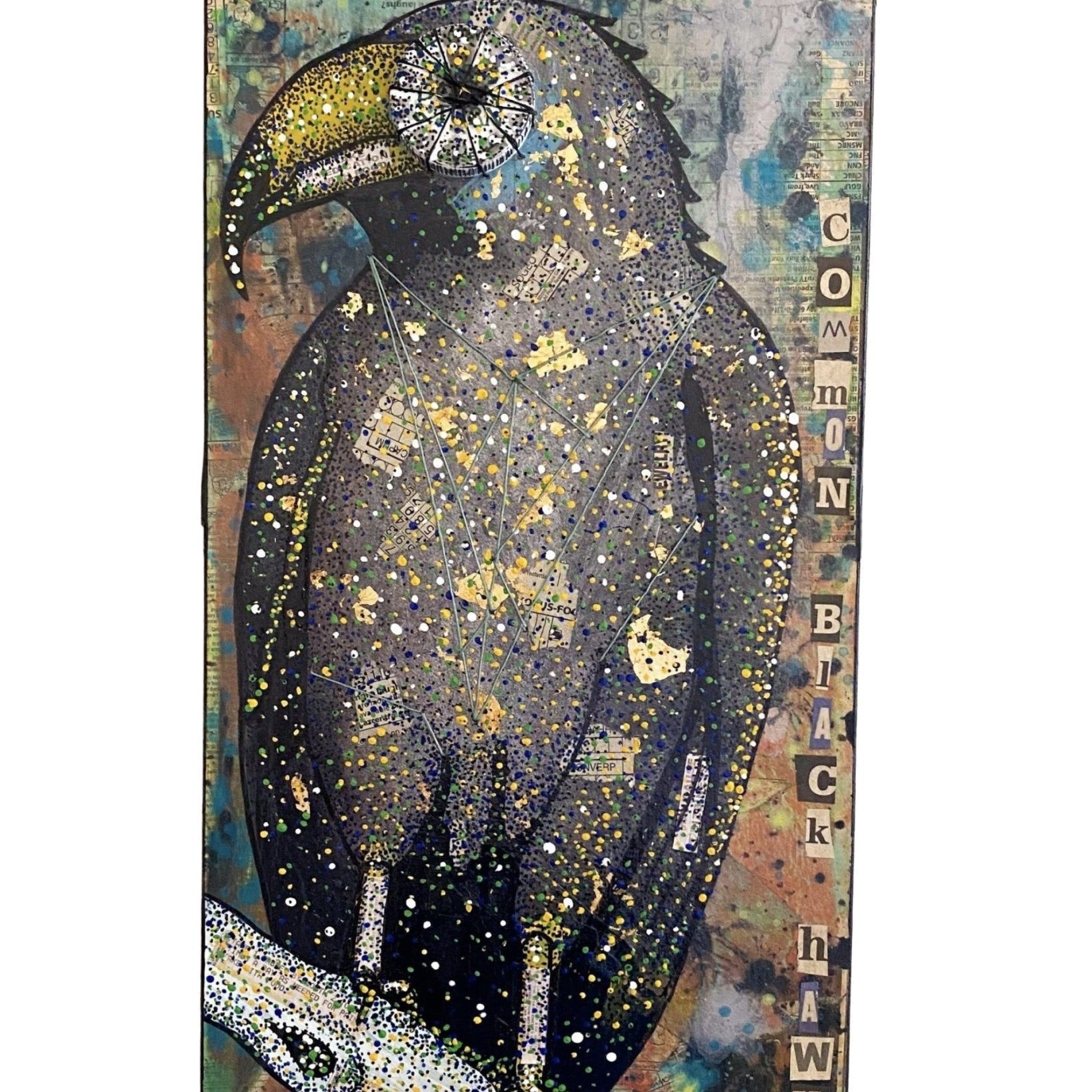 Common Black Hawk - Heather Freitas - fine art home deccor