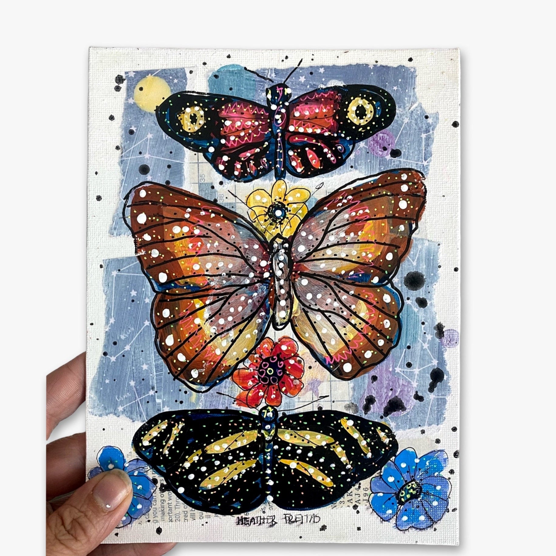 Deluge - Butterfly Study - Heather Freitas - fine art home deccor
