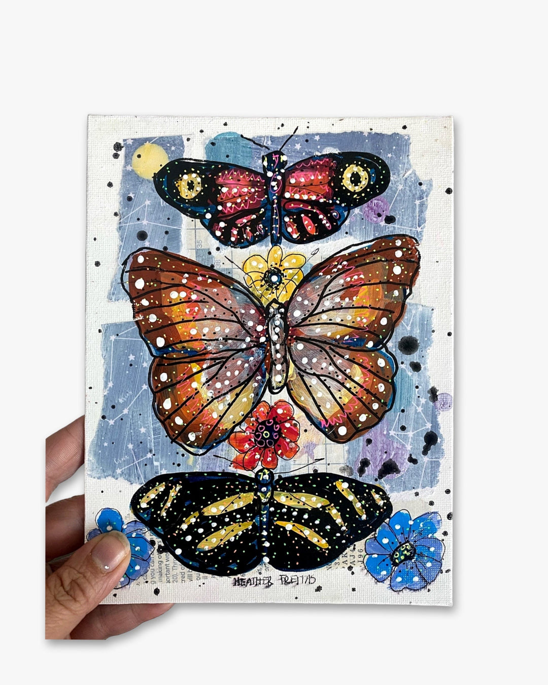 Deluge - Butterfly Study - Heather Freitas - fine art home deccor