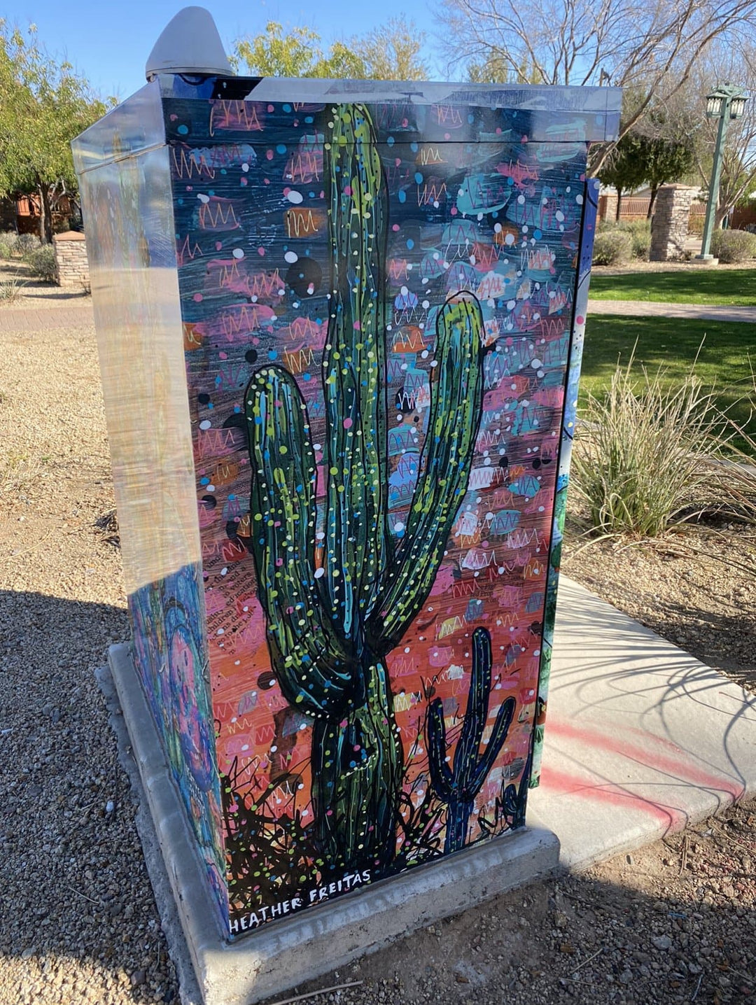 Desert Summer - Heather Freitas 
