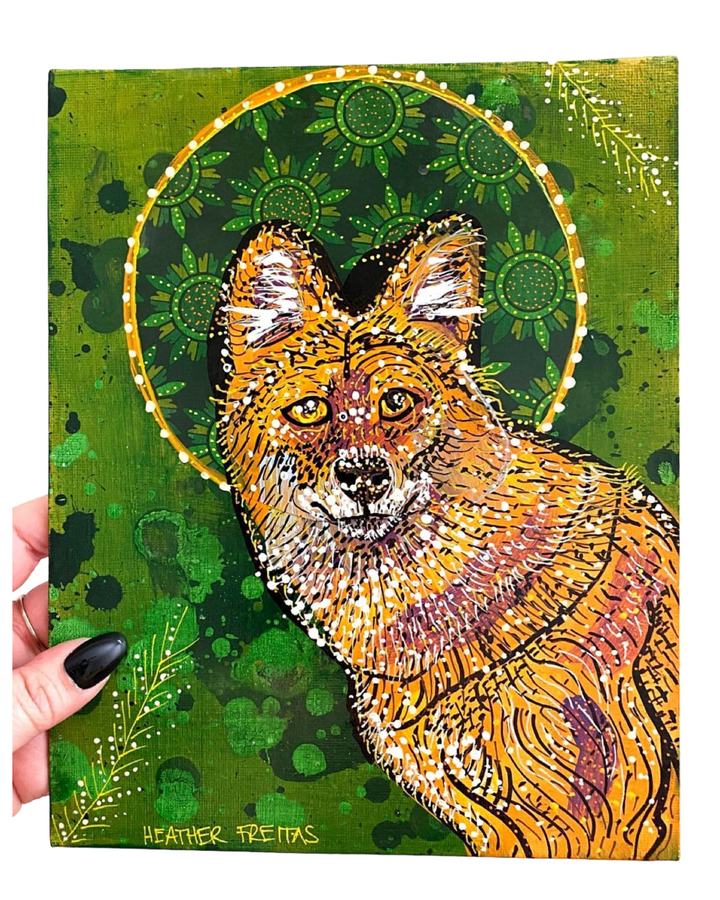Dhole - Heather Freitas 