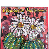 Discocatus Hartmamii Cactus - Heather Freitas - fine art home deccor