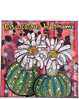 Discocatus Hartmamii Cactus - Heather Freitas - fine art home deccor