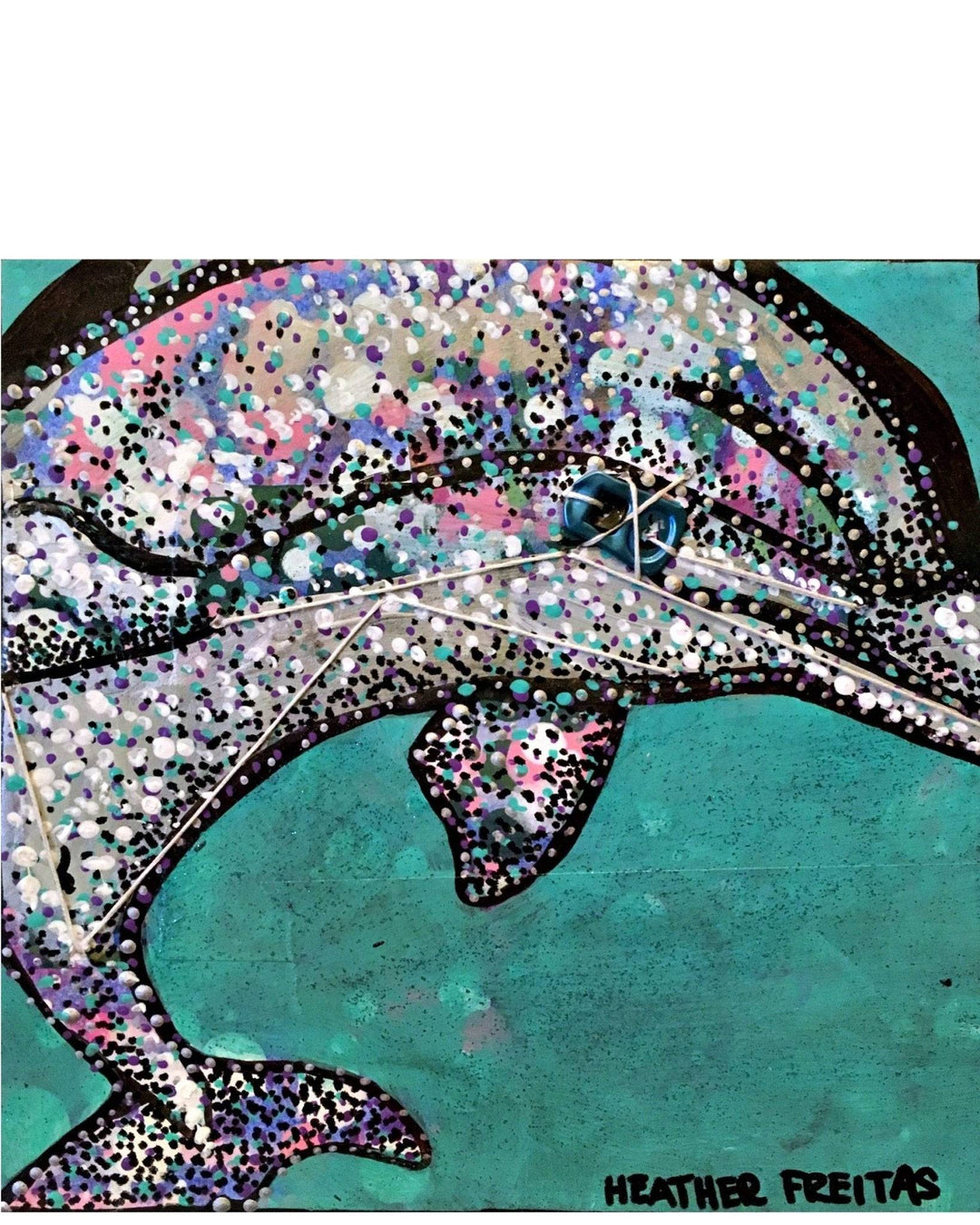 Dolphin Study - Heather Freitas 
