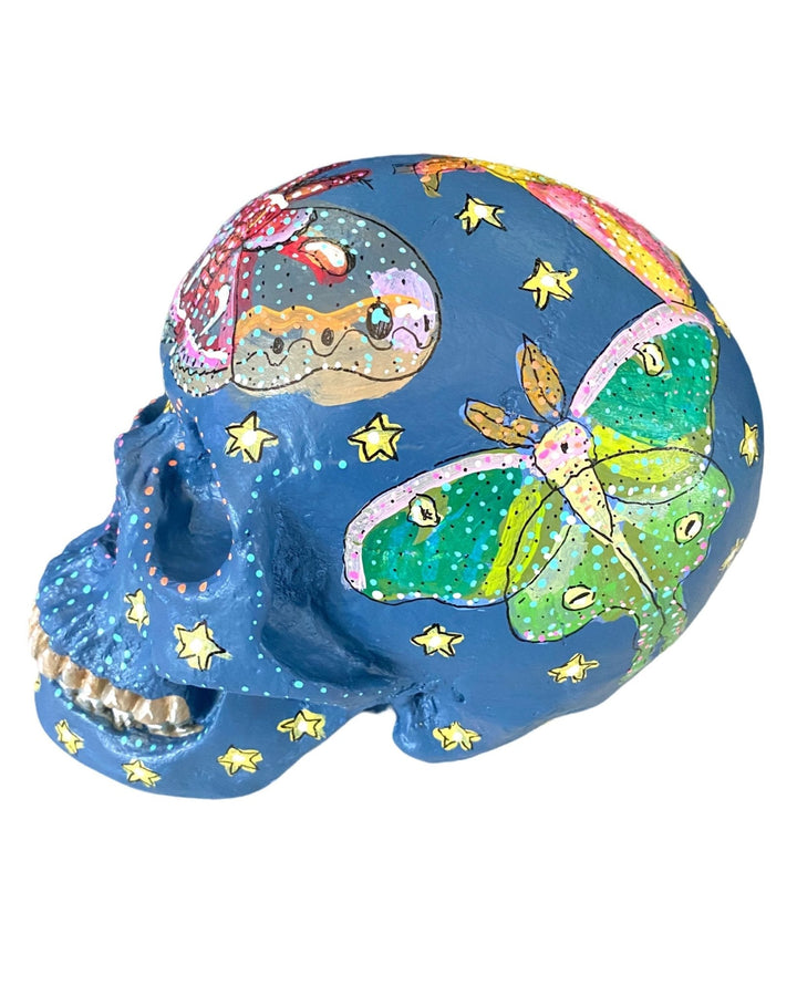 Dusk Moths - Hand Painted Skull Sculpture - Heather Freitas 