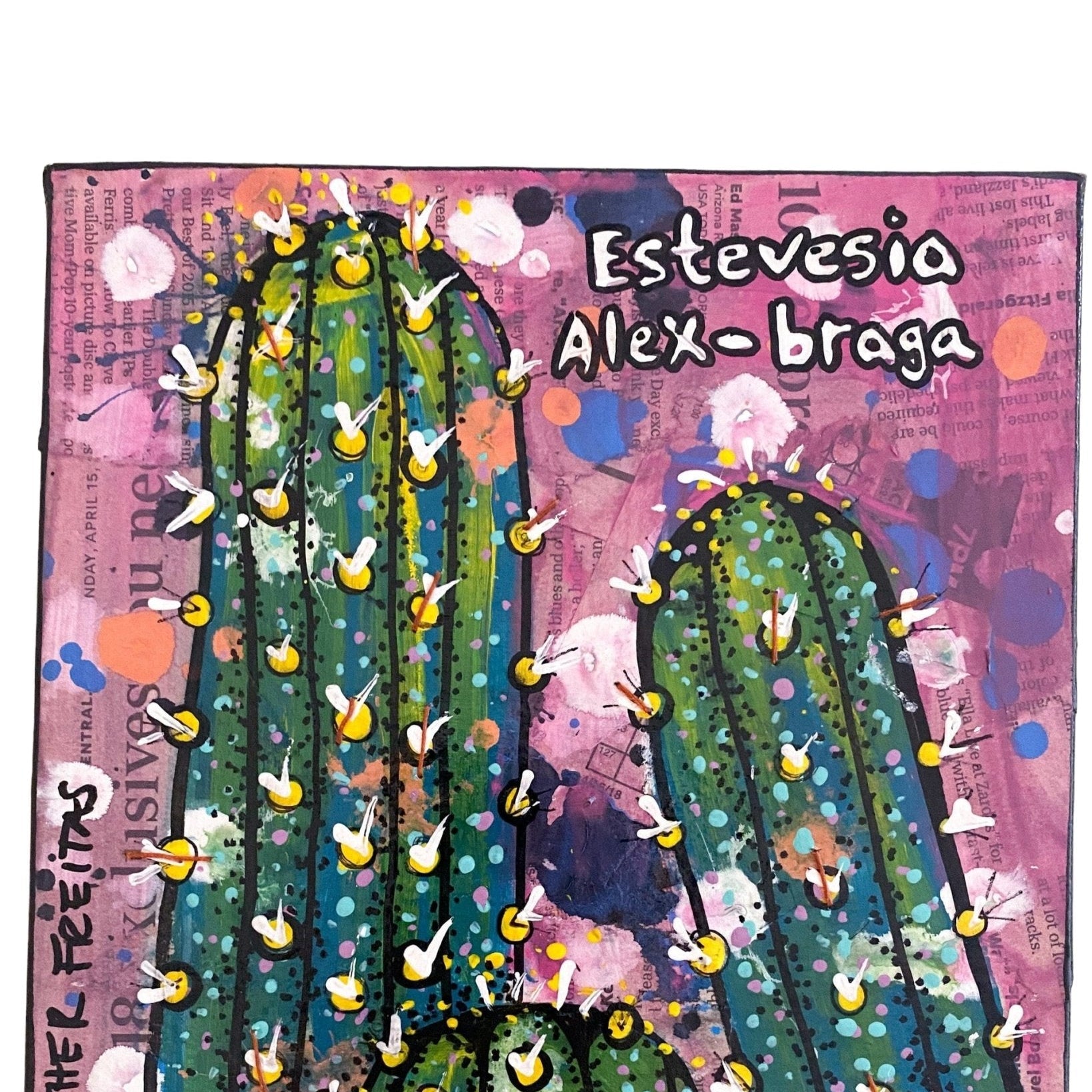 Estevesia Alex-Braga Cactus - Heather Freitas - fine art home deccor