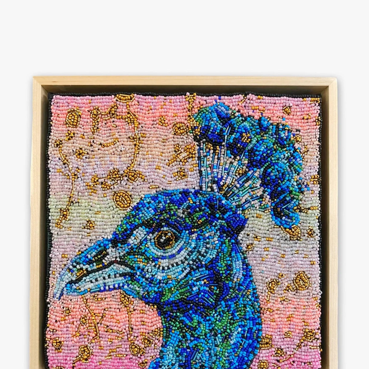 golden-hour-peacock-fully- 