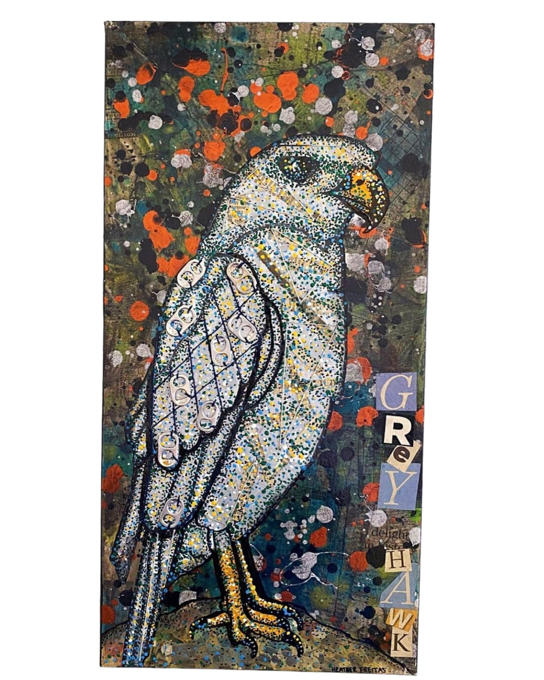 Grey Hawk - Heather Freitas 