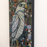 Grey Hawk - Heather Freitas - fine art home deccor