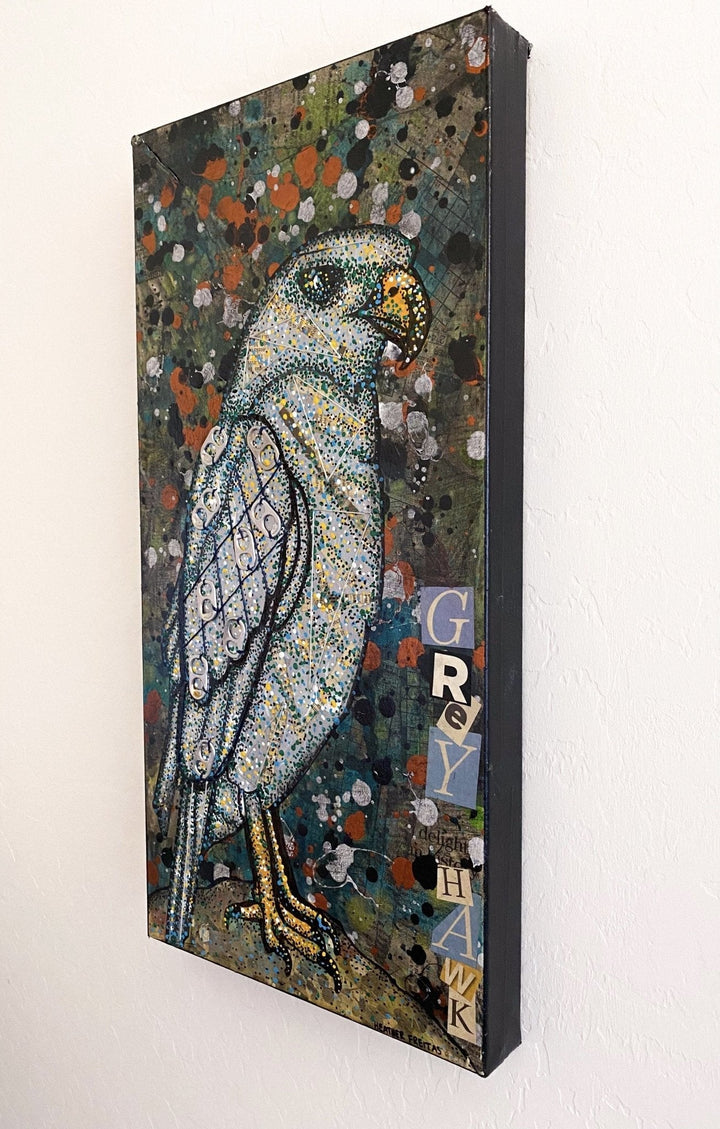 Grey Hawk Heather Freitas 