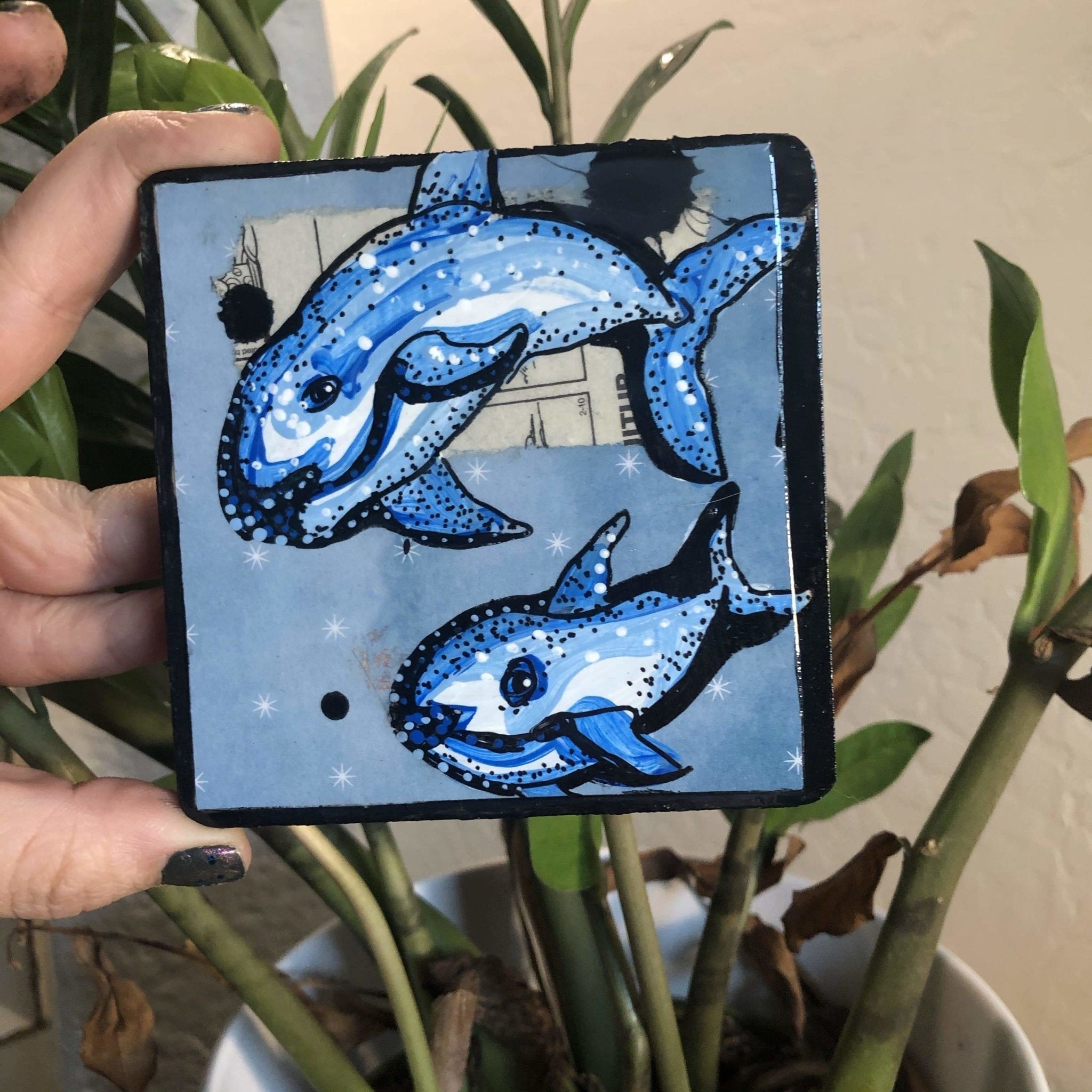 Hand Painted Original Coaster - Vaquita - Heather Freitas - fine art home deccor