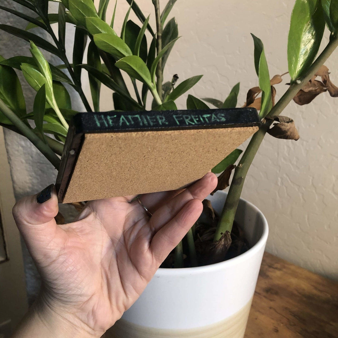 Hand Painted Original Coaster - Vaquita Heather Freitas 