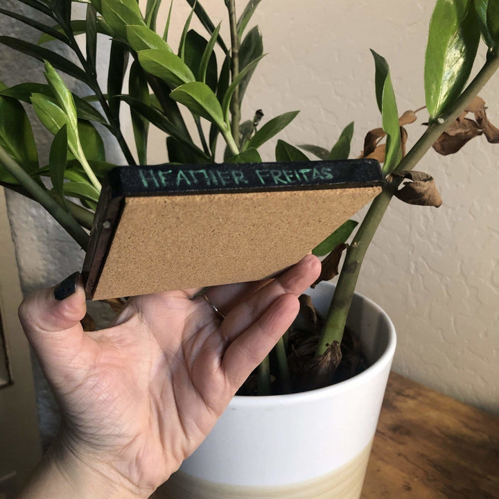Hand Painted Original Coaster - Vaquita Heather Freitas 