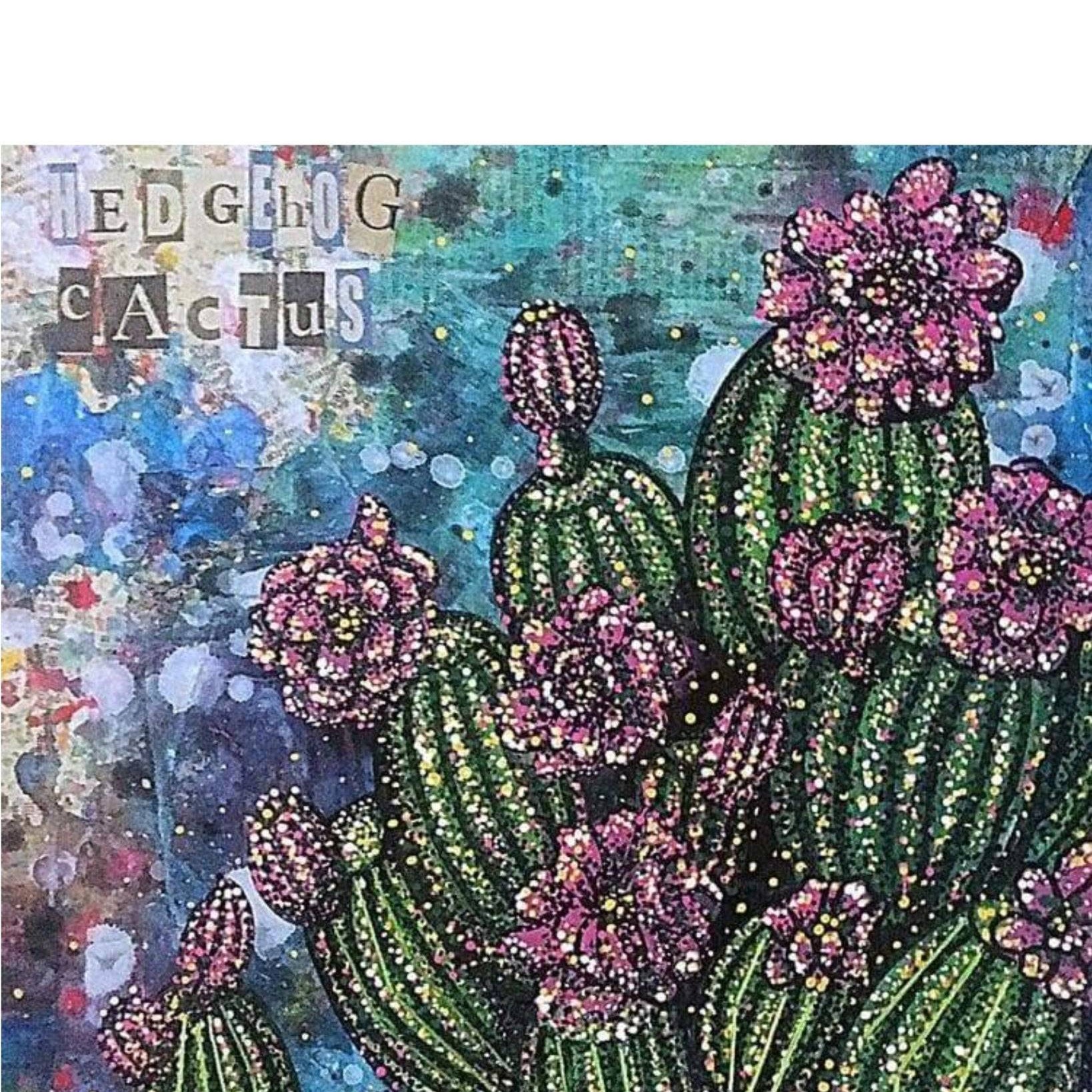 Hedgehog Cactus - Heather Freitas - fine art home deccor