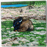 Henry The Buffalo - @anna_stouffer ( Original Painting ) - Heather Freitas - fine art home deccor