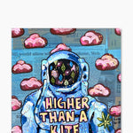 Higher Than A Kite ( Original Painting ) - Heather Freitas - fine art home deccor