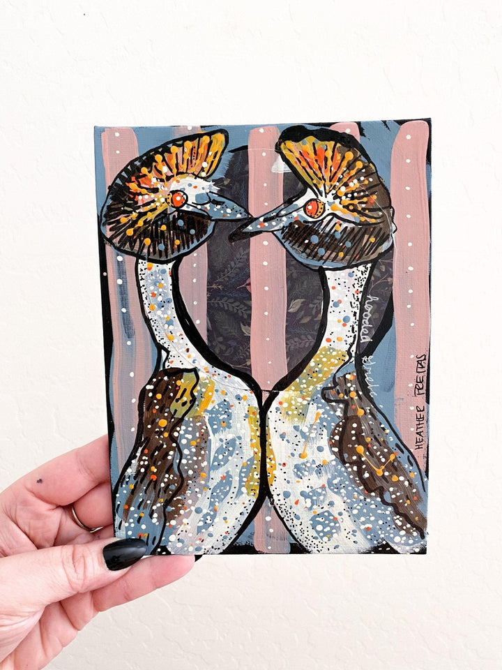 Hooded Grebe Heather Freitas 
