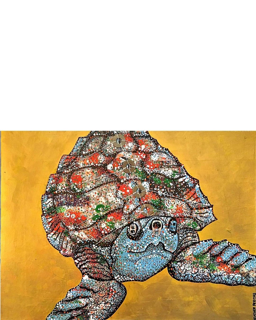 Kemps Ridley Turtle - Heather Freitas 