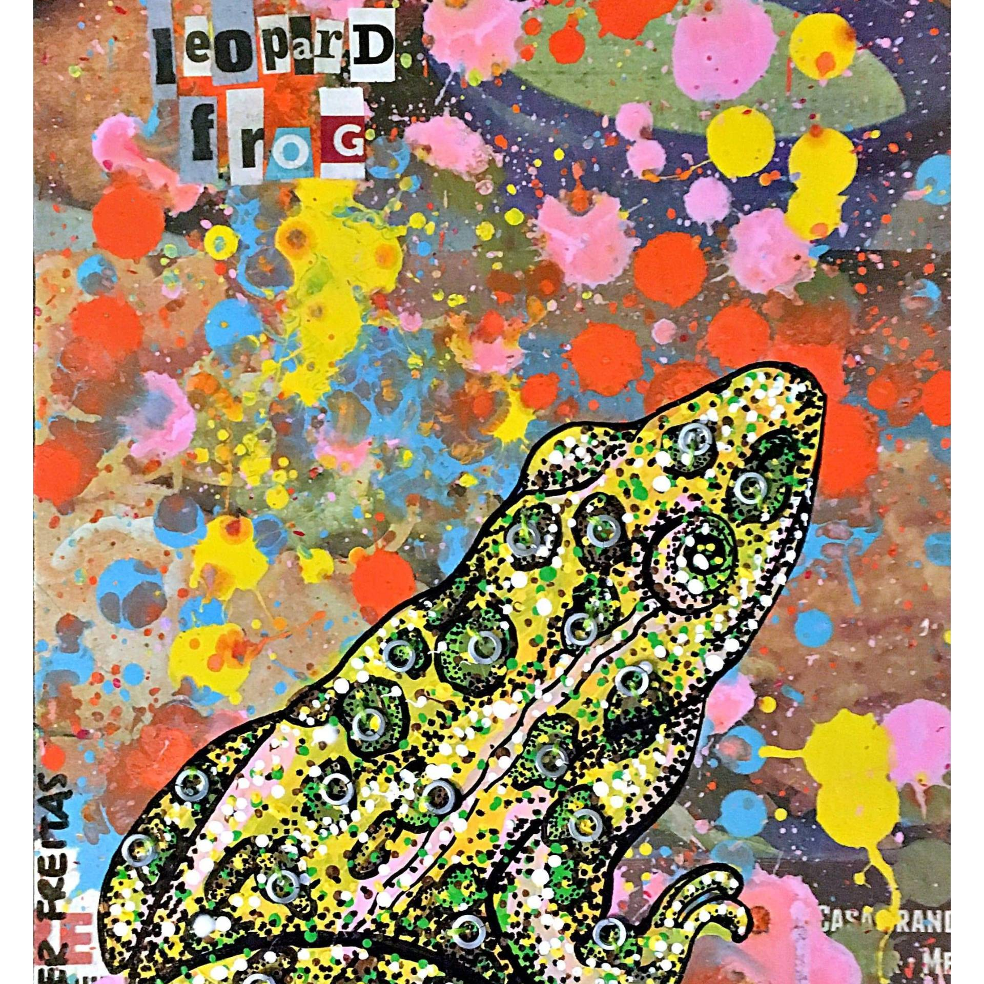 Leopard Frog - Heather Freitas - fine art home deccor