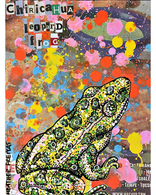 Leopard Frog - Heather Freitas - fine art home deccor