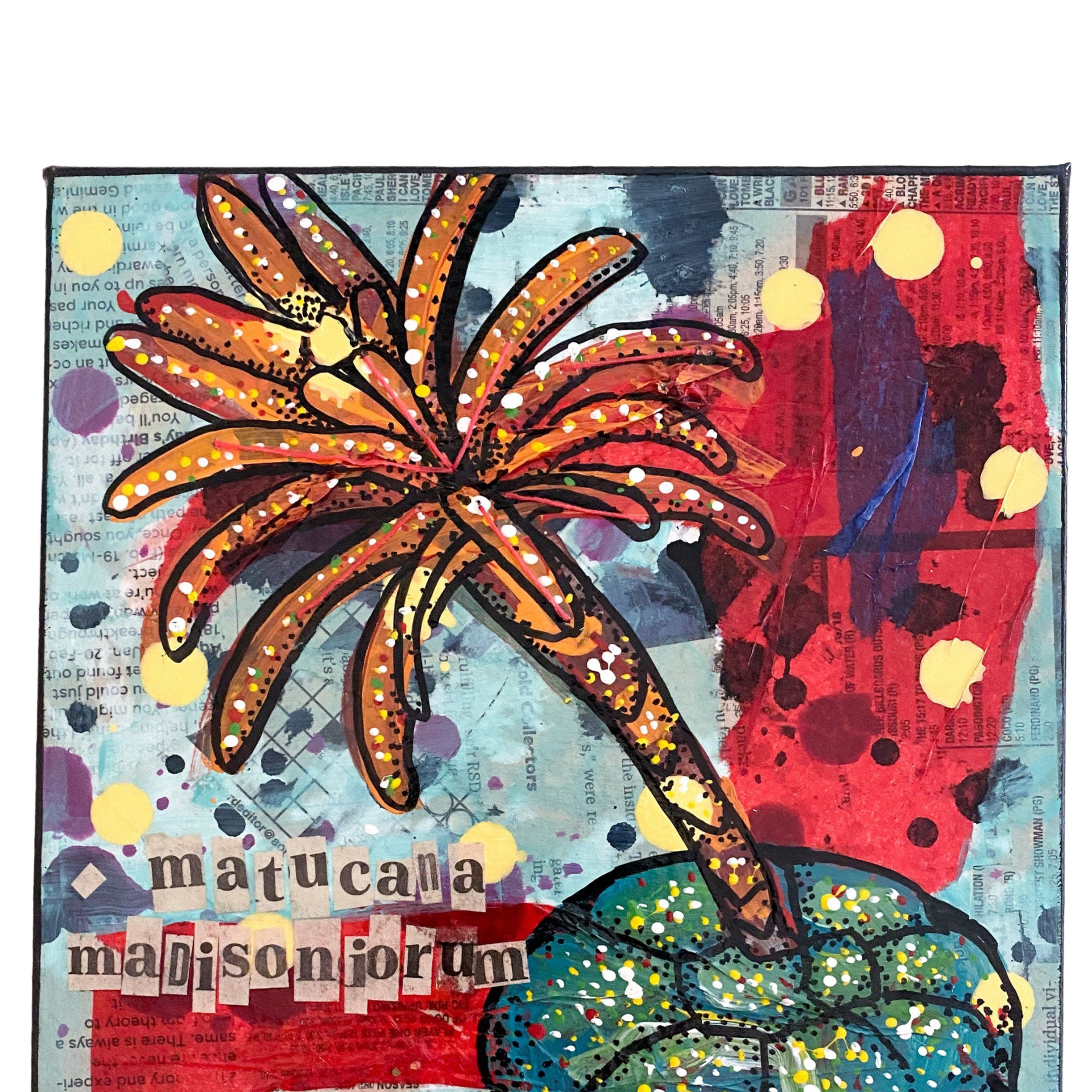 Matucana Madisoniorum Cactus - Heather Freitas - fine art home deccor