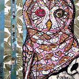 Mexican Spotted Owl - Heather Freitas - fine art home deccor