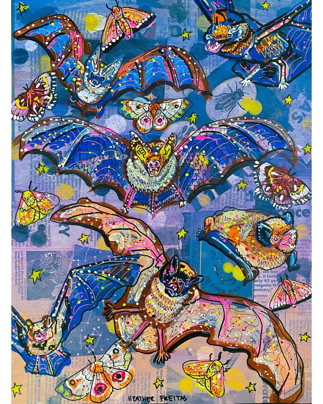 Microbats - Heather Freitas 