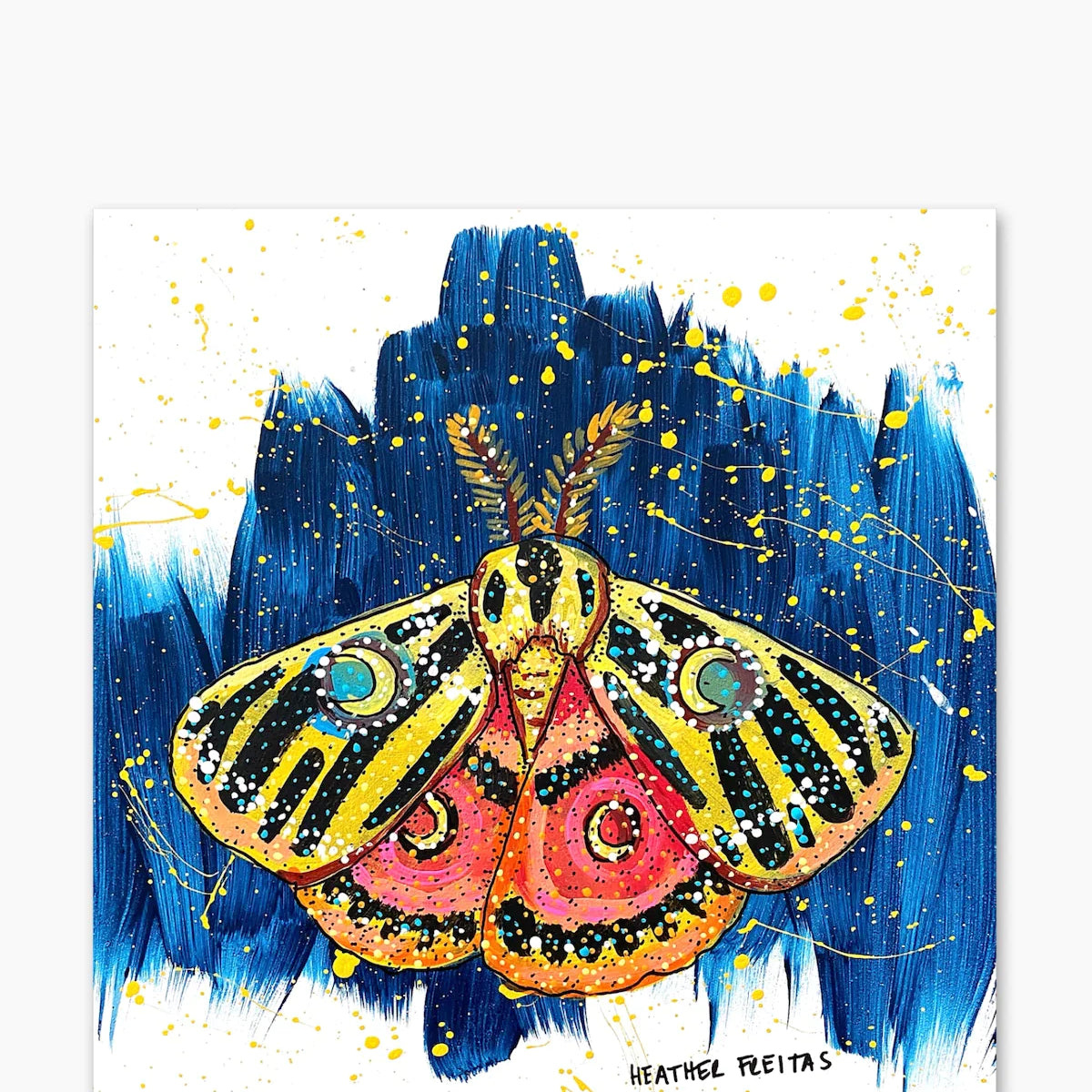 Moon Moth - Heather Freitas 