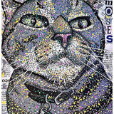 Moses - Heather Freitas 