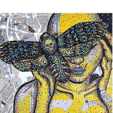 Mothballs - Heather Freitas 