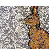 New England Cottontail - Heather Freitas 