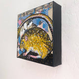 New Mexico Meadow Jumping Mouse Heather Freitas 