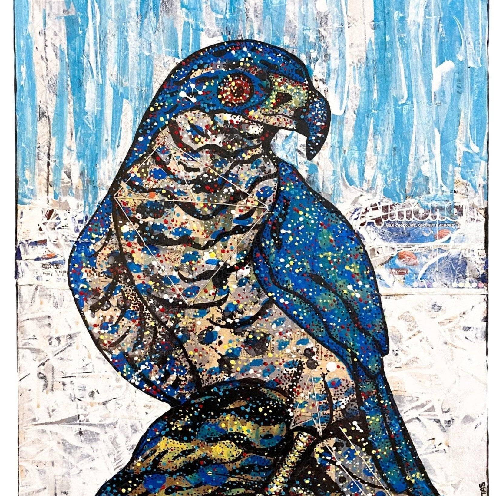 Northern Goshawk - Heather Freitas 