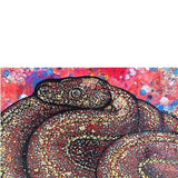 Northern Mexican Gartersnake - Heather Freitas 