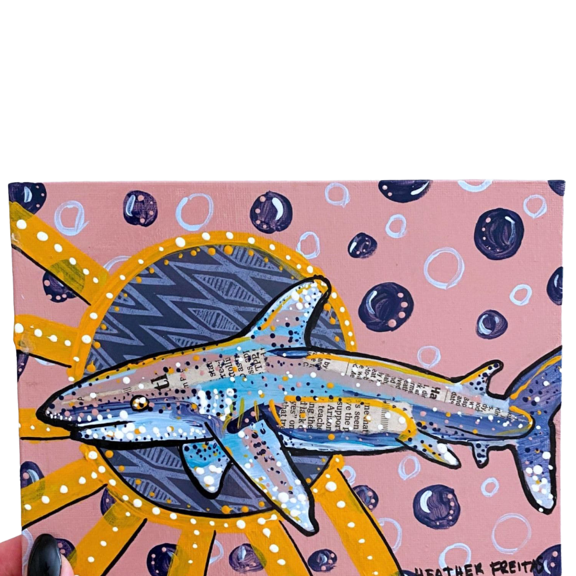 Oceanic White Tip - Heather Freitas 