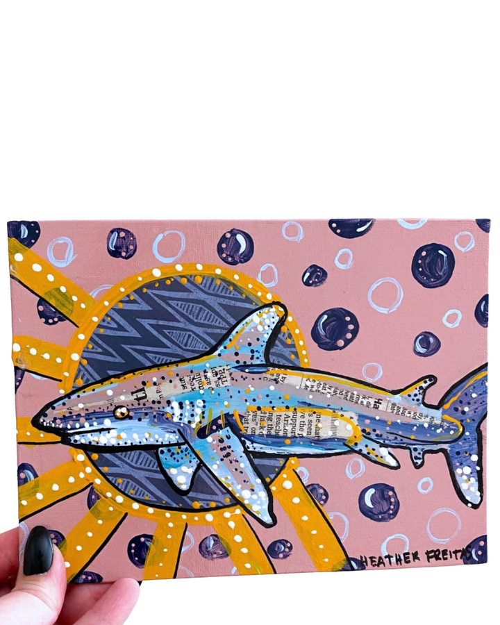 Oceanic White Tip - Heather Freitas 