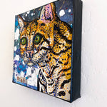 Ocelot Heather Freitas 