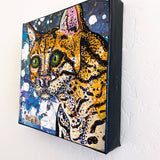 Ocelot Heather Freitas 