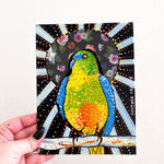 Orange Bellied Parrot Heather Freitas 