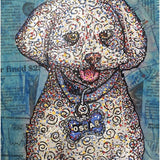 Oscar - Heather Freitas 