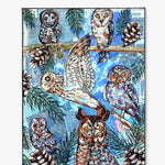 Owl Specimens & Pretty Pines - Heather Freitas 